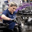 The Euro Motors 이미지