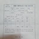 귤청담는 풋귤(청귤) 주문 받습니다==＞ 잔류농약 0 이미지