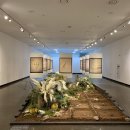 우리의땅 이미지