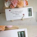 발그레블룸