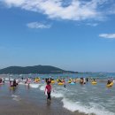 월포해수욕장 Daum카페