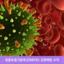 중동007 이미지