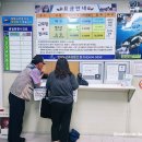 까멜리아해운주식회사 이미지