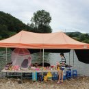 강가애하루 이미지