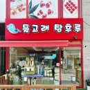 돌고래 탕후루 이미지