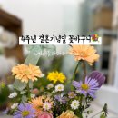 플라라레 이미지