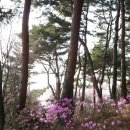 산너울 이미지