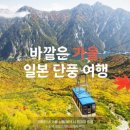 하나투어 이미지