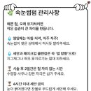 캣츠속눈썹