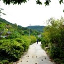덕평경로당 네이버블로그