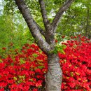 서동공원 이미지