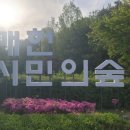 양재 매헌시민의숲 아이와 놀이터까지 즐기다