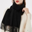 샤인벨리 이미지