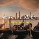 Love is a many splendored thing 이미지