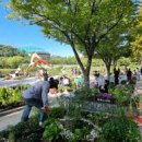 용인동백호수공원 이미지