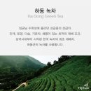 아마스빈 이미지