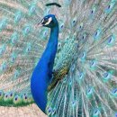 신라동물병원 이미지