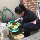 화치경로당 Daum카페