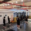 크로스핏 이미지