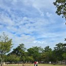 [금정구평생학습관] 일본속 한국 문화유산 기행 | 교감하며 천년의 고요를 걷다: 오사카 근교 &#39;나라 공원&#39; 완벽 여행 후기 (도다이지, 사슴 먹이주기 꿀팁)