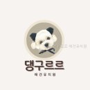 댕구르르 유치원 네이버블로그
