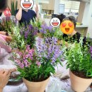 청하보건지소 이미지