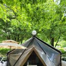 비둘기 펜션 | 10만 원대 가평 글램핑장, 비둘기펜션 글램핑A동 숙박 후기