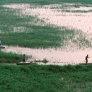 우포늪생태공원 이미지