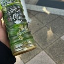 대머리민박 | 후쿠오카 벳푸 여행기(1): 힐링과 효도 사이