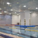 스윔 스타즈 이미지