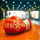 프로팀스타복싱