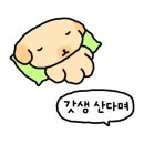 댕냥테라피 이미지