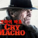 마초 (MaCho) 이미지