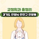 삼덕빌딩(삼덕프라자) | 경기도 안양시 만안구 안양동 교정치과 총정리