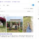 댕고카 이미지