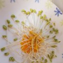 담아푸드 이미지