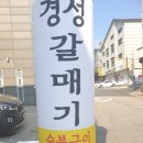 경성갈매기
