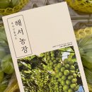 준수농장 | [광주 직거래] 해서농장 샤인머스켓 — 직접 보고 고르는 믿음, 17°Brix+