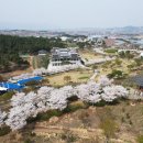 일연 - 해운대구 송정해변로 26-11 | 일연