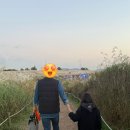 우리동네약국 | [은평구] 동네 산책하다 발견한 약국은 허준 - 우리동네 연중휴무 약국 (f.내돈내산 )