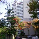 삼동로-1 이미지
