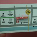 금송아지플러스