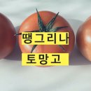 땡그리나 | 토망고 최고자산가 땡그리나 공구 후기
