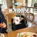 [파주] 운정 가람마을 강아지 동반 브런치 맛집 재방문 추천 메뉴, 버거와이낫