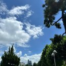 탐정행정사사무소 이미지