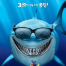 도리 이미지