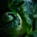 화곡8동주민센터 이미지