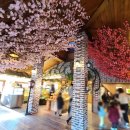 북한산로 이미지