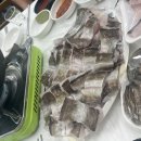 바다를 품은 보성회센타 이미지