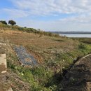 솔라시도 이미지